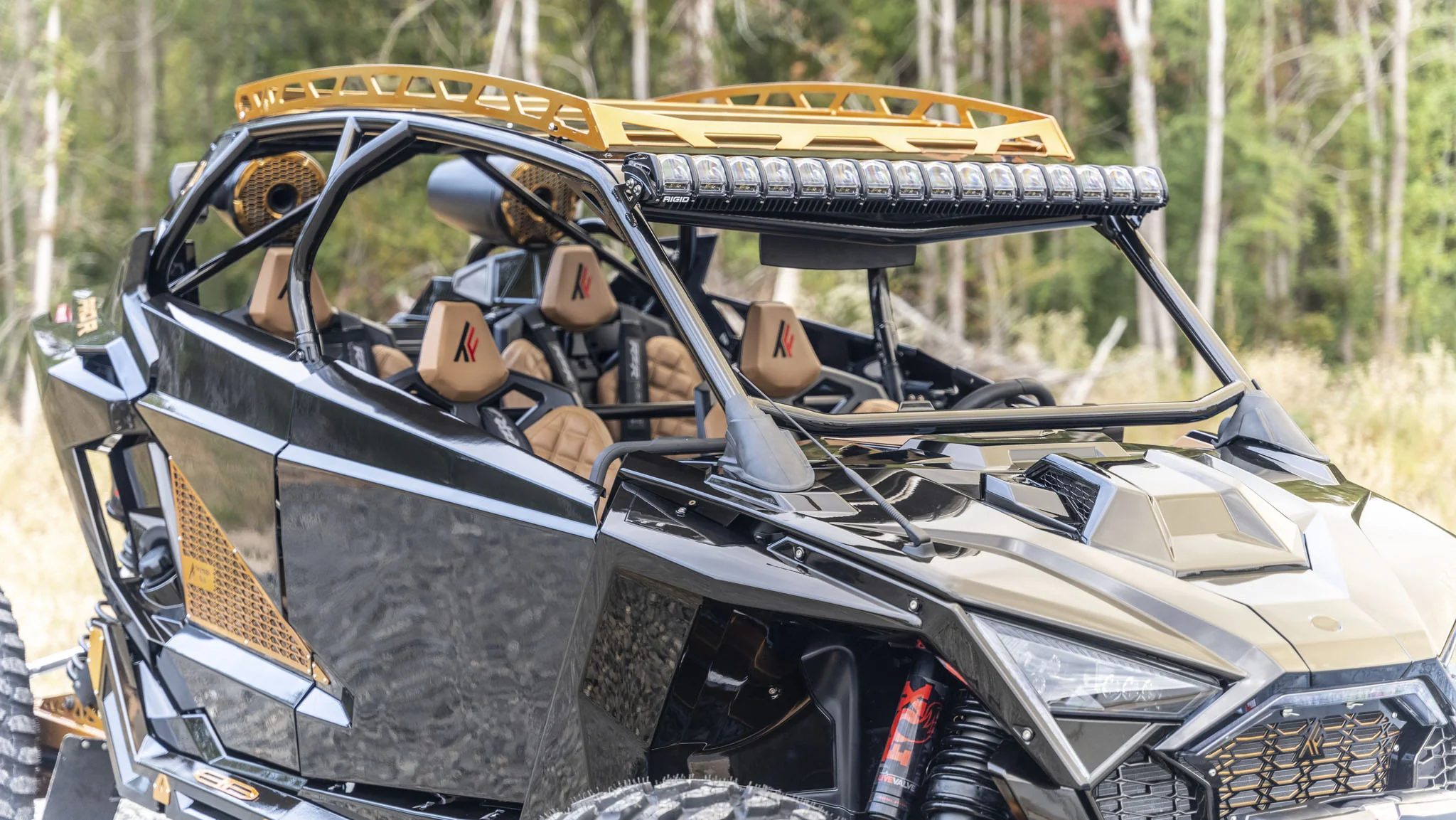 Polaris RZR PRO R Roll Cage (4-Seat) - Image 5