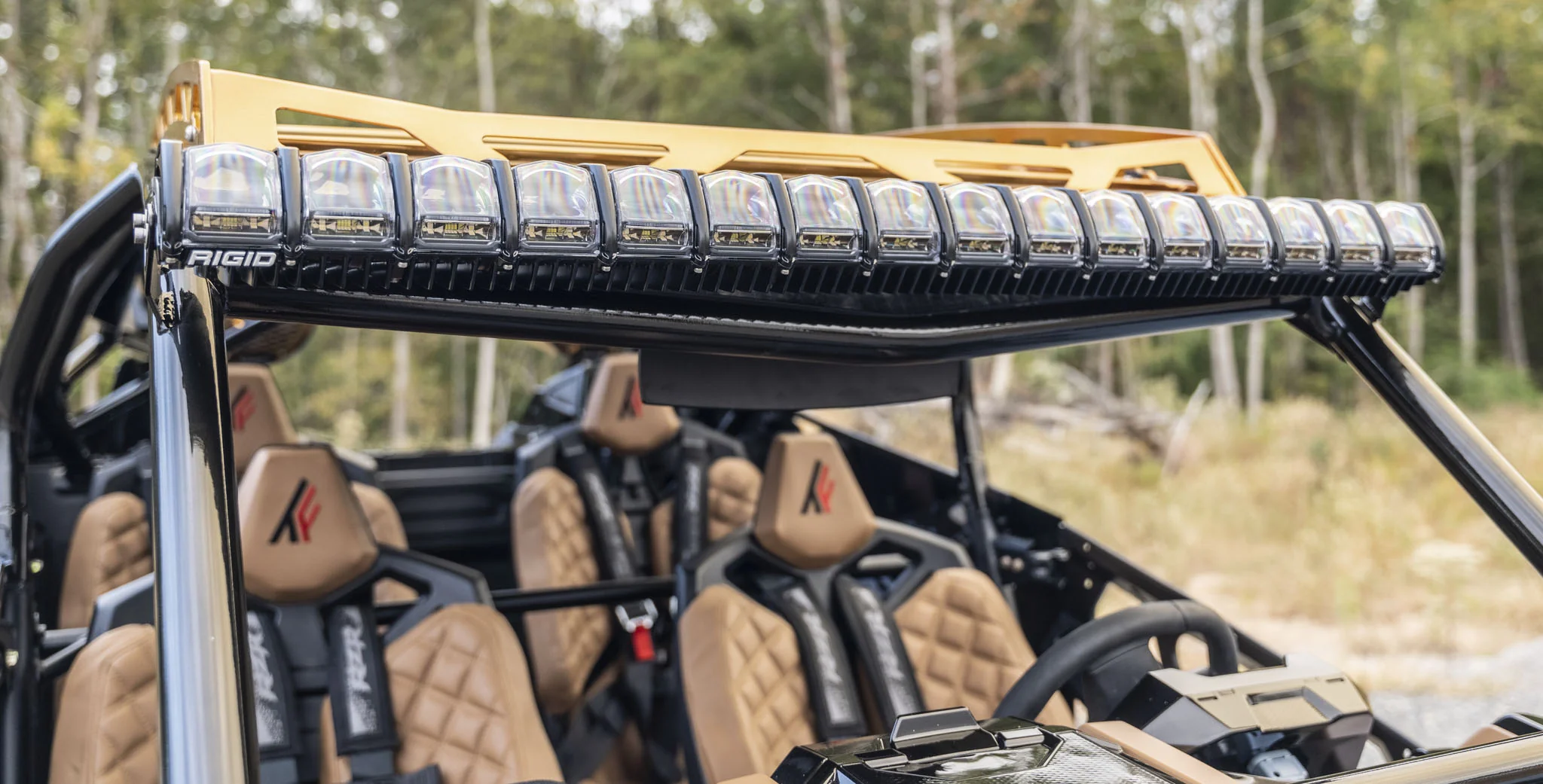 Polaris RZR PRO R Roll Cage (4-Seat) - Image 6